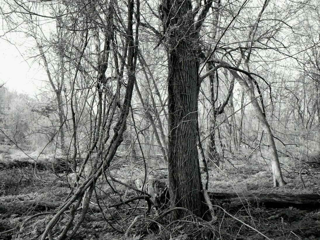 Lawrence Beck, exhibition view. Courtesy of ART 3 gallery