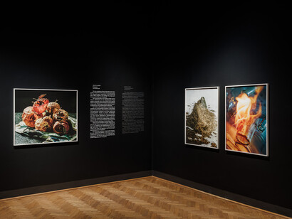 Various artists, What a view! Contemporary photography in Upper Austria, exhibition view. Courtesy of Francisco Carolinum Linz