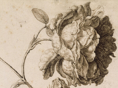 The Charm of the Small. Courtesy of Gemäldegalerie