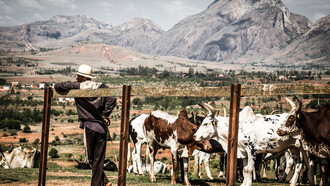L'altopiano di Ambalavao