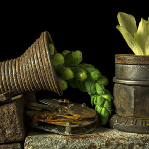 From the Ground Up. Courtesy of Soho Photo Gallery