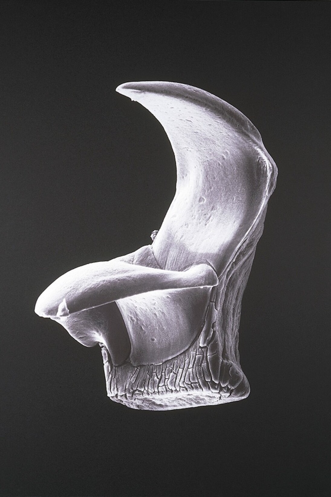 Koret Family Gallery. Art and Science. Courtesy of San Jose Museum of Art