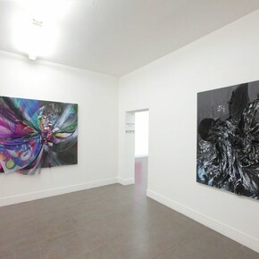 Shinique Smith, Black Swan, Exhibition view. Courtesy of Brand New Gallery
