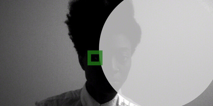 Facial Profiling. Courtesy of C24 Gallery