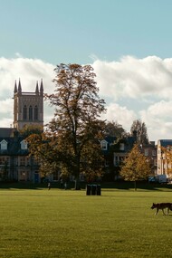 Cambridge University, UK, in autumn—where history meets the beauty of falling leaves