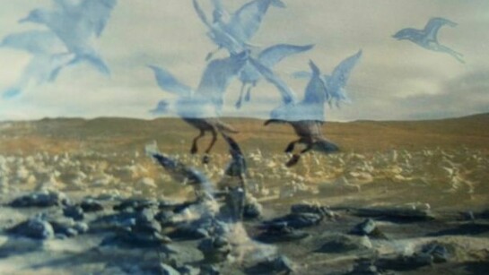 Richie Culver, Jason And The Astronauts, 2013, C-Print 660 x 1000 mm