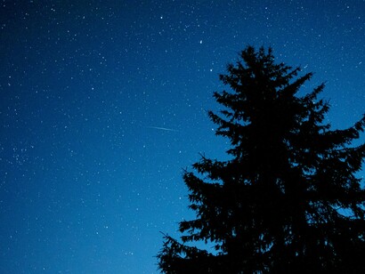 I miei viaggi paralleli mi riportano spesso ad attimi del passato, persone scomparse o sperdute, relazioni platoniche come spighe selvatiche sui rilievi della campagna marina