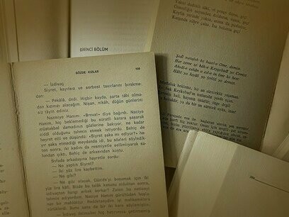 As primeiras bibliotecas públicas surgem em Roma e Constantinopla e o princípio de conservar, copiar e organizar se manteve até a criação da imprensa, quando os livros começaram a circular fora dos mosteiros e universidades e inunda os municípios e escolas