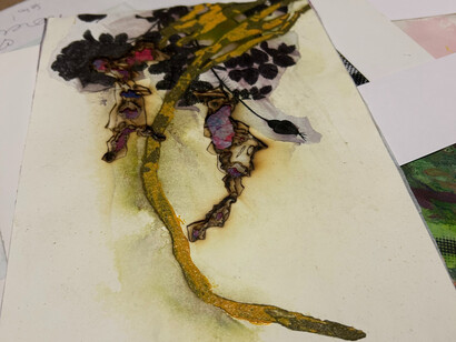 Démonstration de la distillation solaire par Akira Inumaru