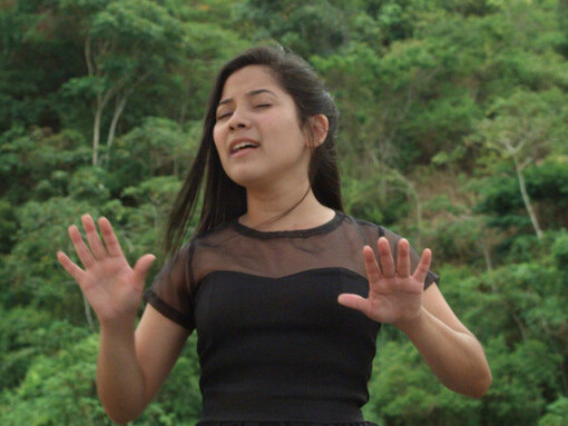 You Are Seeing Things. Courtesy of Stedelijk Museum