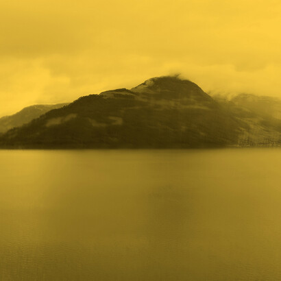 Davide Coltro, Landscapes, dettaglio