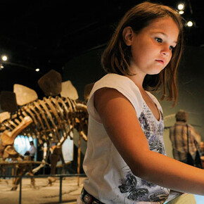 Prehistoric Journey. Courtesy of Denver Museum of Nature & Science