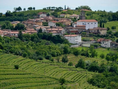 I vigneti del Collio