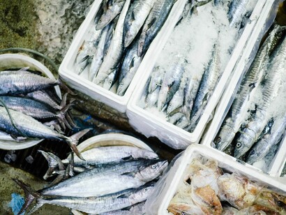 Vendita di pesce al porto 