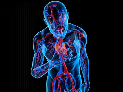 Cuerpo cansado tras el ejercicio físico