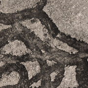 Heather Watkins, Path (Trace) (detail), 2025. Courtesy of PDX Contemporary Art