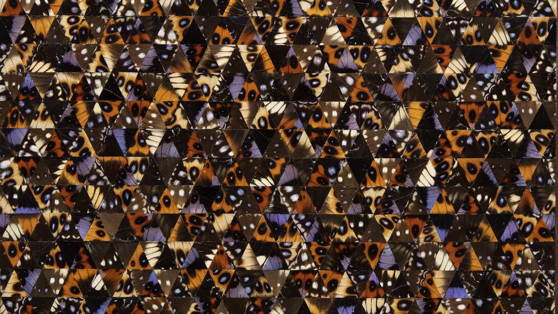 Gabriel de la Mora, 820 I Hy. Pa., 2022. Cortesia do Museu Oscar Niemeyer