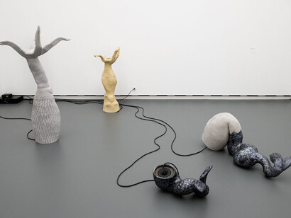 Various artists, Auswahl 24, exhibition view. Courtesy of Aargauer Kuratorium