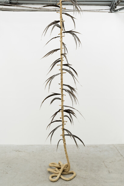 Maria Loboda, Witch’s ladder, 2014, corda de sisal, penas de faisão Lady Amherst, dimensões variáveis. Cortesia de Mendes Wood DM , São Paulo