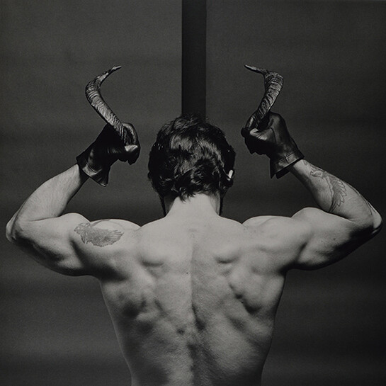 Robert Mapplethorpe, Frank Diaz, 1980 © The Robert Mapplethorpe Foundation. Used by permission. Courtesy of The Kinsey Institute ®