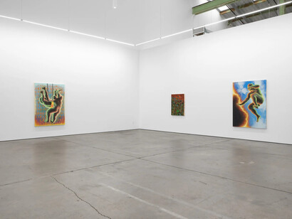 Didier William, Beyond the bodies' edge, exhibition view. Courtesy of Altman Siegel