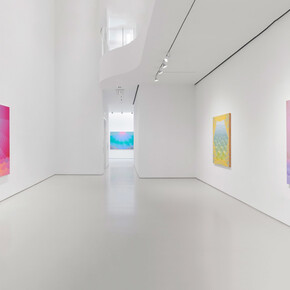 Amy Lincoln, On the strangest sea, exhibition view. Courtesy of Sperone Westwater