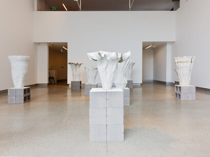 Kohl Tyler, Of bodies into novel shapes, exhibition view. Courtesy of MARS Gallery