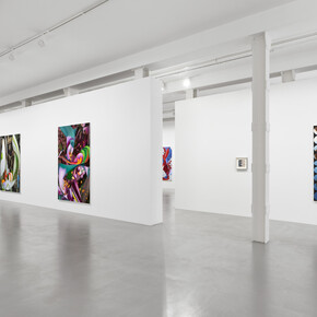 Vivien Zhang, Field conditions, exhibition view. Courtesy of Galerie Max Hetzler