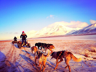 Dogsledding, Svalbard. Credits: tranja/Foap/Visitnorway.com