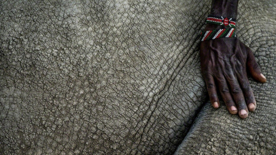 Justin Mott. Courtesy Anastasia Photo