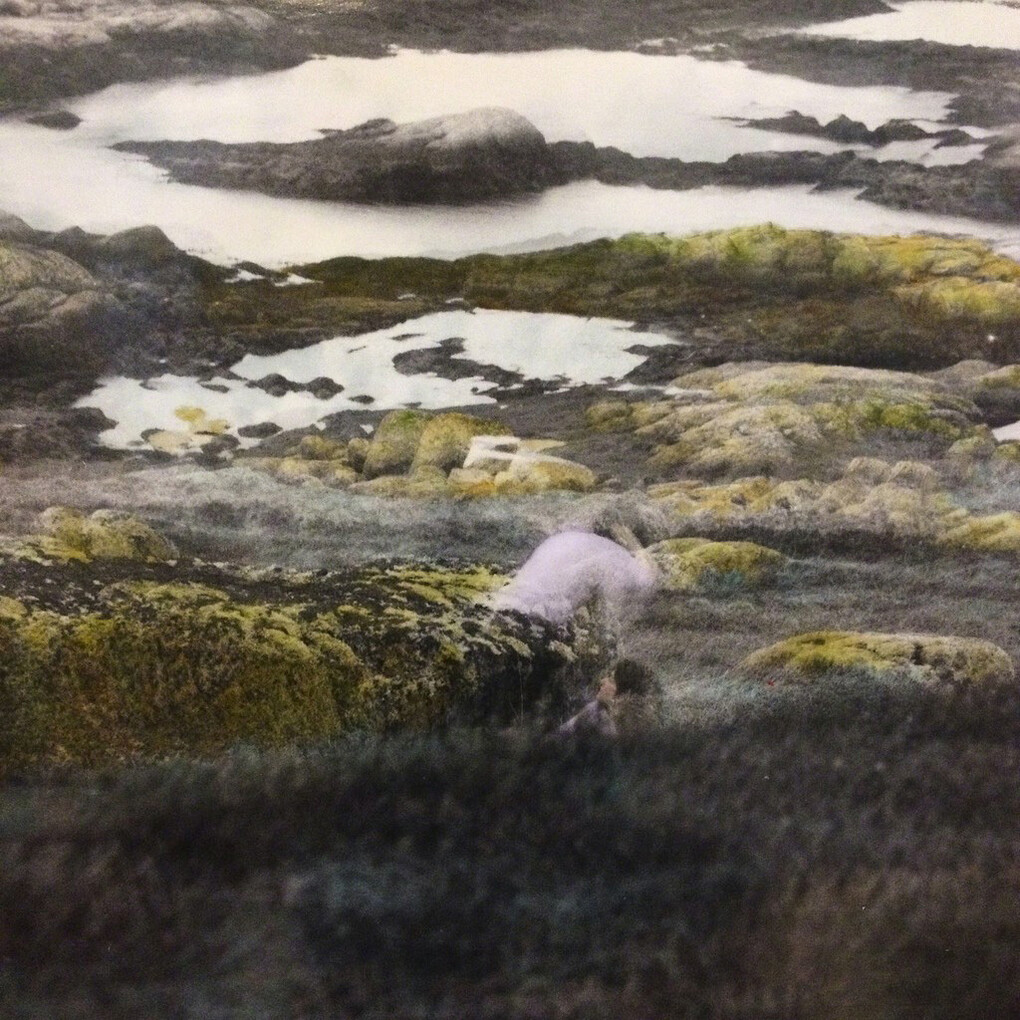 Kadie Salmon. Courtesy of New Art Projects
