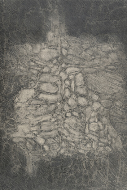 James Nelson, Untitled (detail), 2022, graphite on Gampi paper lined with Kozo paper, 29 1/4 x 21 3/8 inches. Courtesy of the artist and McKenzie Fine Art
