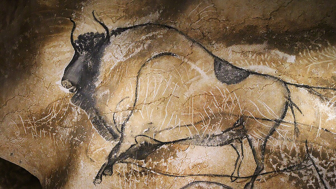 A large bison, depicted through charcoal drawings with a stump technique and flint outlining, from the Pont d'Arc Cave, France