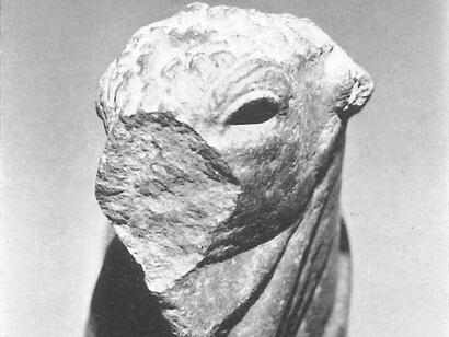 Ogni toro Apis era considerato un'incarnazione temporanea del dio Ptah fino alla sua morte, dopodiché si sceglieva un nuovo animale per continuare il culto. Statua del bue Apis immortalata da Muller