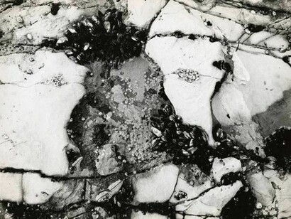 Herbert Matter, Untitled, c. late 1940s, Vintage gelatin silver print, 10 9/16 x 13 1/16 inches