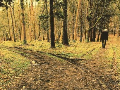 The road less travelled...venturing into uncharted territories