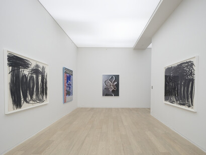 Trip of the Tongue, Exhibition view. Courtesy of Simon Lee Gallery