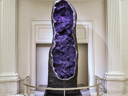 Grand Gallery. Courtesy of American Museum of Natural History