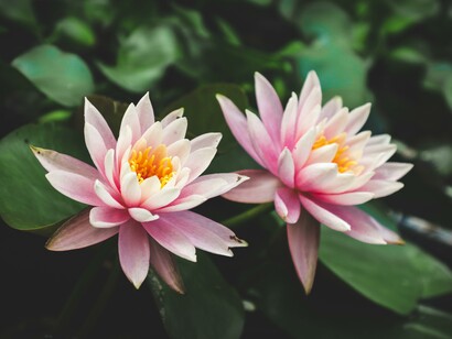 Come si può porre attenzione a non violare i confini dei sentimenti e delle credenze di un altro essere?