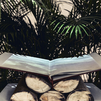 Territorio. Courtesy of Museo de Arte Moderno de Bogotá