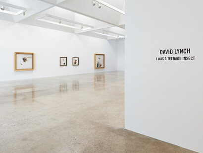 David Lynch. Courtesy of Kayne Griffin Corcoran
