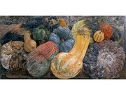 Ellen Altfest, Gourds, 2006-07, Oil on canvas, 19 x 38 in. (48.3 x 96.5 cm), Private Collection, Photo: Bill Orcutt, New York, Image courtesy White Cube © Ellen Altfest / White Cube