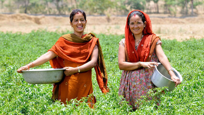 Nepal Farmer women in field