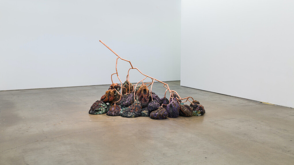 Kathleen Ryan. Courtesy of François Ghebaly