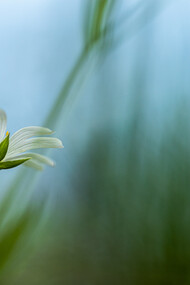  Why are we afraid to sing?
