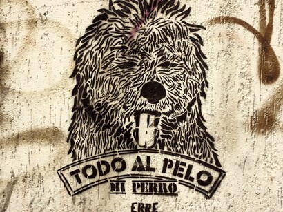 Arte urbano por Erre. La foto es de la propia Erre