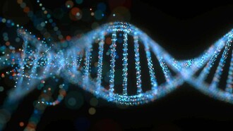 Manuela Monti è  autrice di molti articoli e saggi di divulgazione scientifica sul DNA