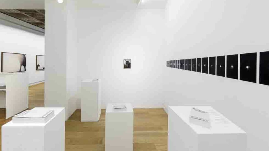 ~Vollmond. Courtesy of Galerie Michael Janssen