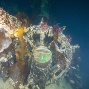 The Franklin Exploration. Courtesy of ROM