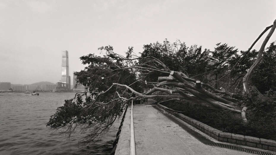 South Ho Siu Nam. Courtesy of Blindspot Gallery